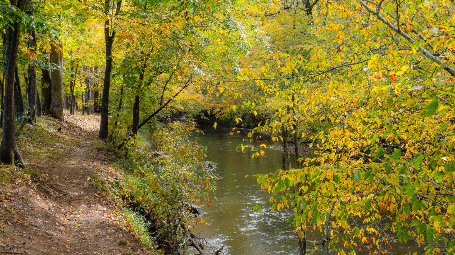 Waid Park Pigg River Trail