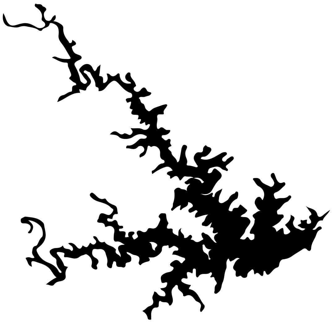 Smith Mountain Lake Outline