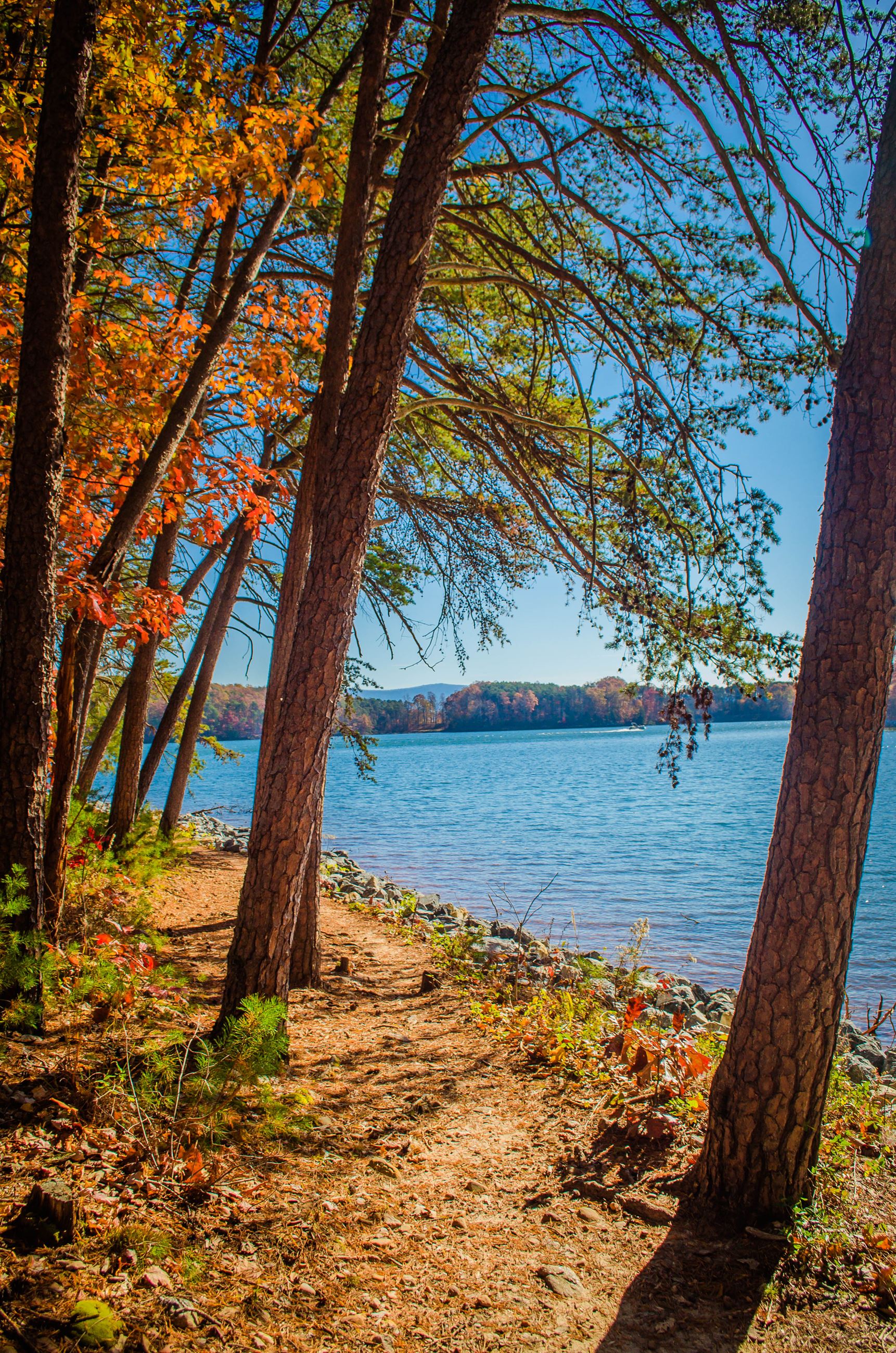Smith Mountain Lake Community Park Hiking Trail System
